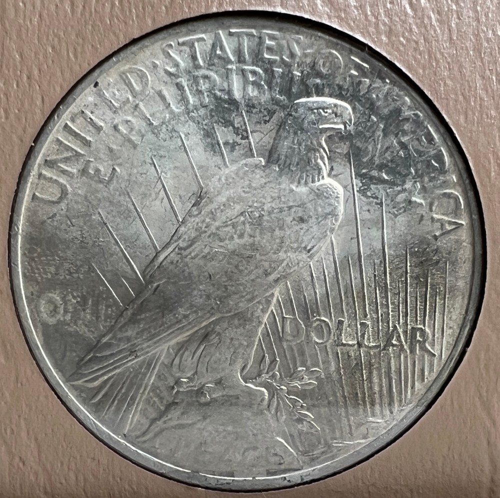 10-Days-Of-Peace-Dollars!